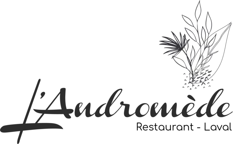 Logo-LAndromede-version-noire